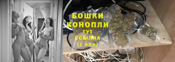 ГАЛЛЮЦИНОГЕННЫЕ ГРИБЫ Липки