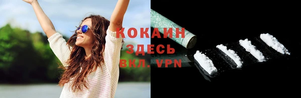 ГАЛЛЮЦИНОГЕННЫЕ ГРИБЫ Липки