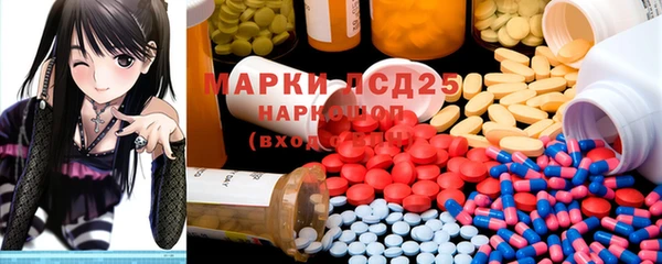 ГАЛЛЮЦИНОГЕННЫЕ ГРИБЫ Липки