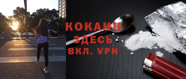 ГАЛЛЮЦИНОГЕННЫЕ ГРИБЫ Липки