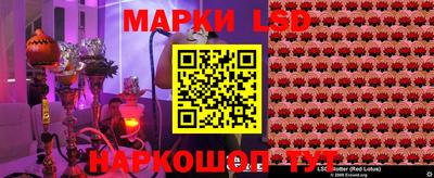 спиды Гусев