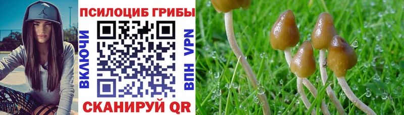 Псилоцибиновые грибы ЛСД  Электрогорск 