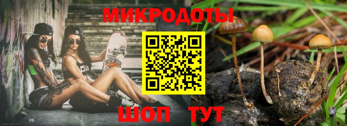 Галлюциногенные грибы MAGIC MUSHROOMS Электрогорск