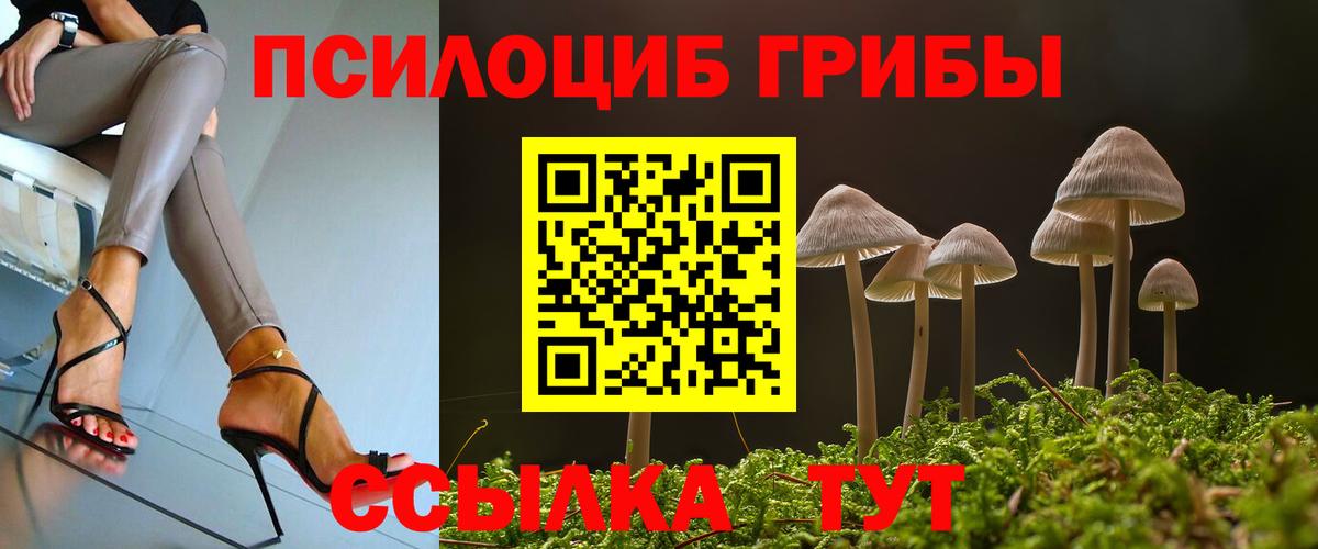 Галлюциногенные грибы GOLDEN TEACHER  Галлюциногенные грибы Cubensis  Вход с VPN  Электрогорск 