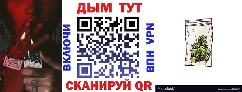 Каннабис сатива  Электрогорск 